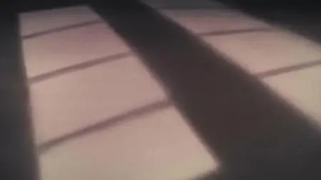 ACCA 13 ku Kansatsu ka BD BOX TV  SP ACCA 13 ku Kansatsu ka 10 (BD 1920x1080 x 264 Flac mkv" yEnc