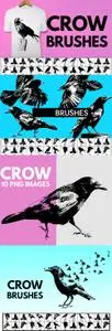 35 Crow Brushes for Photoshop
