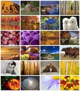 Webshots - Daily Photos (10/2011) - High Quality (1600x1200) & Wide Screen (1920x1080)