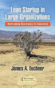 Lean Startup in Large Organizations