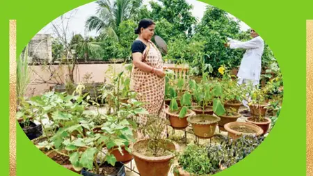 30-Minute Kitchen Garden : Grow Fresh Food in Just 21 days