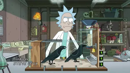 Rick and Morty S05E09