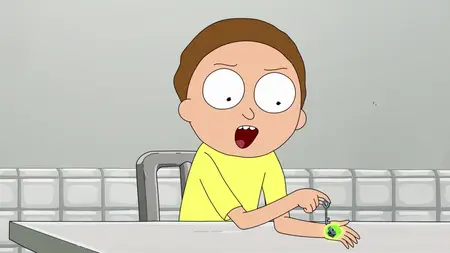 Rick and Morty S05E09