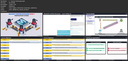 Mulesoft Certified Developer - Level 2 - Preparation Course