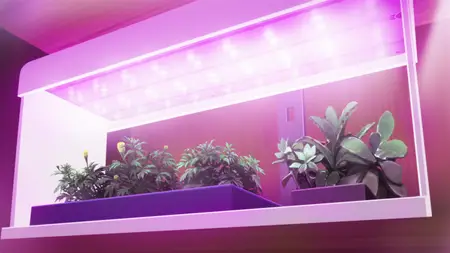 Can a Boy-Girl Friendship Survive S01E06 The Scent of Cherry Sage