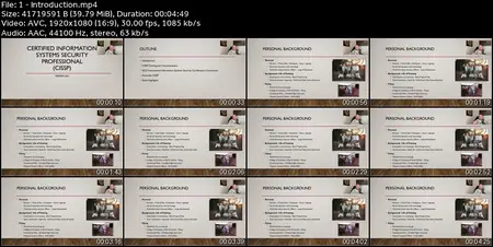 CISSP Certification: Domains 1, 2, 3 & 4 Video Training-2021