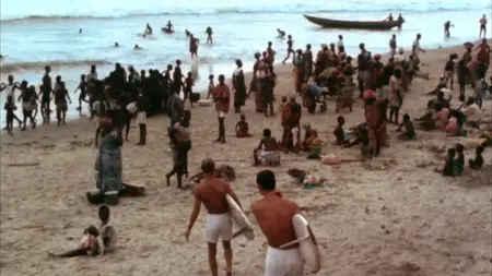 The Endless Summer (1966)