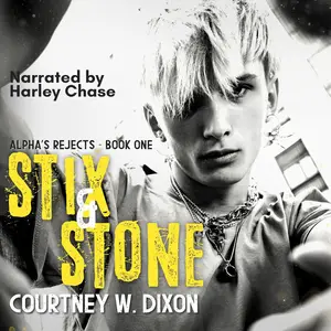 Stix & Stone: MM Urban Romance