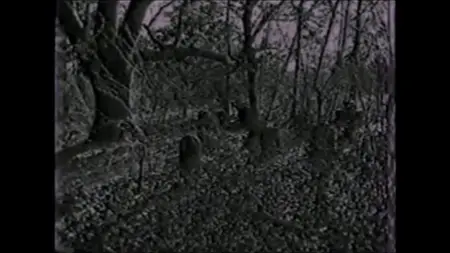 The Yesterday Machine (1965)