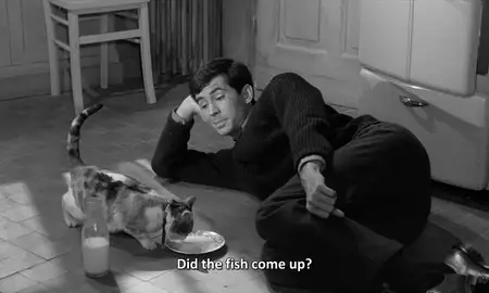 Le couteau dans la plaie / Five Miles to Midnight (1962)