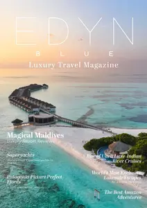 Edyn Blue - Issue 4 2025