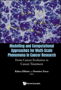 Modelling and Computational Approaches for Multi-Scale Phenomena in Cancer Research: From Cancer Evolution to Cancer Treatment