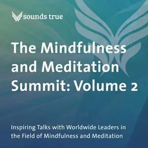 The Mindfulness and Meditation Summit: Volume 2 [Audiobook]