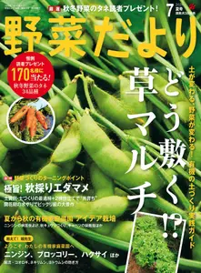 野菜だより - June 2026