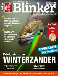 Blinker Magazin - Dezember 2025