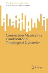 Connection Matrices in Combinatorial Topological Dynamics