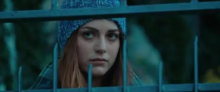 An Almost Perfect Country / Un paese quasi perfetto (2016)