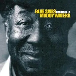 Muddy Waters - Blue Skies: Best of Muddy Waters