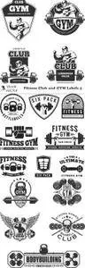 Vectors - Fitness Club and GYM Labels 5