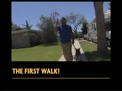 Mastering Leadership Series Vol 3 - Your New Dog - First Day and Beyond