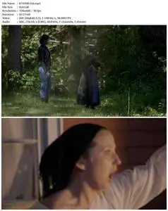 Amish Witches: The True Story of Holmes County (2016)