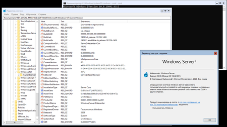 Windows Server version 20H2 SAC Build 19042.631 (x64)