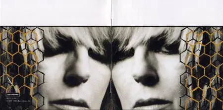 Lucinda Williams - Little Honey (2008) {Lost Highway Records} [repost]