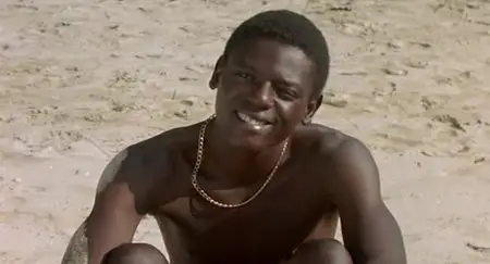 Vers le sud / Heading South (2005)