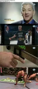 Fighting for a Generation: 20 Years of the UFC (2013)