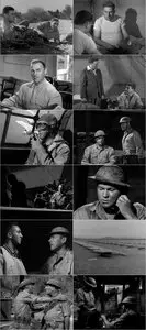 Wake Island (1942)
