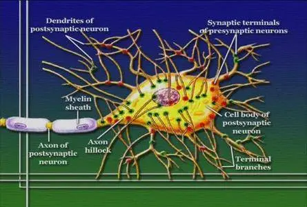 Biology: The Science of Life [repost]