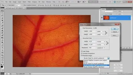 Video2Brain - Photoshop Sharpening Power Workshop