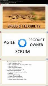 Agile Scrum and Product Owner Role