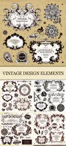 Calligraphic Vintage Elements Vector