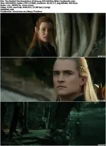 The Hobbit: The Desolation Of Smaug (2013)