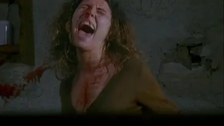 Do You Like Hitchcock? (2005)