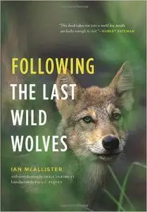 Following the Last Wild Wolves