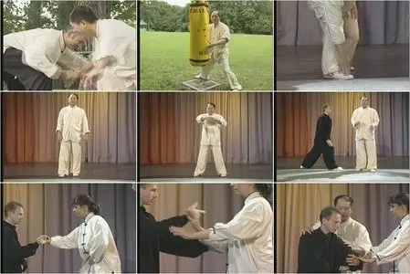 Dr. Yang Jwing-Ming - Tai Chi Pushing Hands [2 DVD Set]