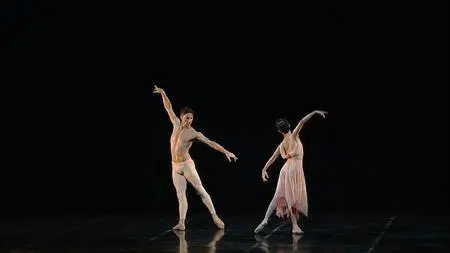 Ballet Gala des Etoiles - Teatro alla Scala 2015 [HDTV 1080i/720p]