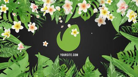 Tropical Vibes Logo Reveal 31125146