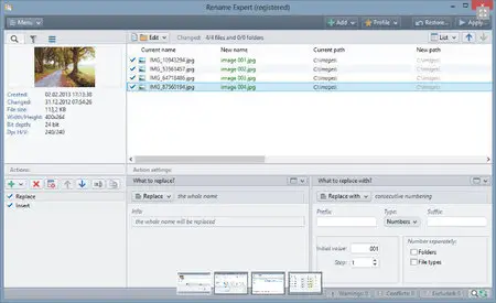 Gillmeister Rename Expert Business 5.3.1 Bilanguage