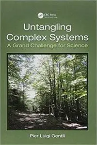 Untangling Complex Systems: A Grand Challenge for Science