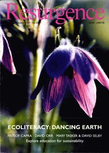 Resurgence & Ecologist - Resurgence, 226 - Sep/Oct 2004