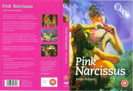 Pink Narcissus (1971)