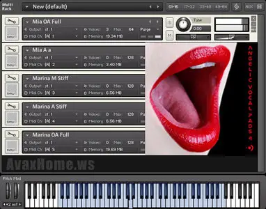 PrecisionSound Angelic Vocal Pads IV MULTiFORMAT