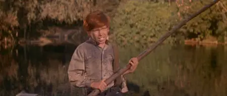 Huckleberry Finn - Abenteuer am Mississippi (USA, 1960)