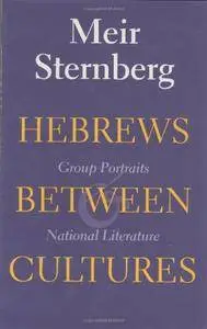 Hebrews between Cultures: Group Portraits and National Literature (Indiana Studies in Biblical Literature)(Repost)