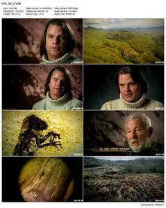 David Attenborough: The Link (2009)