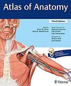 Atlas of Anatomy, 3 edition