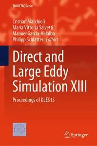 Direct and Large Eddy Simulation XIII: Proceedings of DLES13